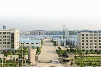 KKPAY钱包,油茶莳植生产加工销售,植物油莳植生产加工销售