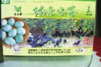 KKPAY钱包,油茶莳植生产加工销售,植物油莳植生产加工销售