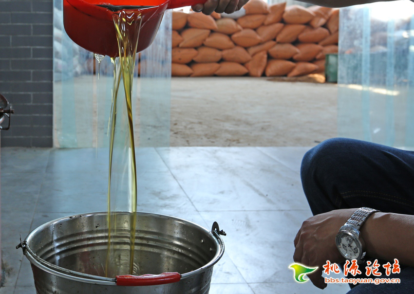 KKPAY钱包,油茶莳植生产加工销售,植物油莳植生产加工销售