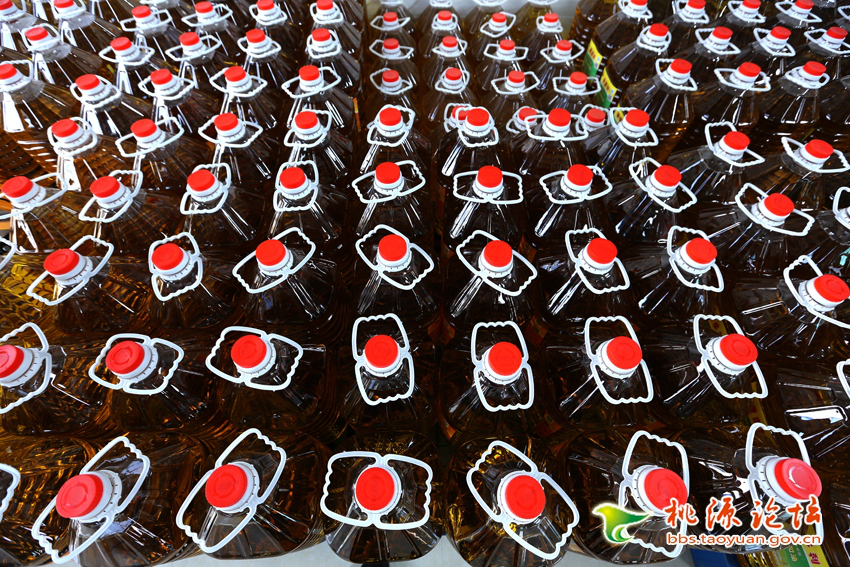 KKPAY钱包,油茶莳植生产加工销售,植物油莳植生产加工销售