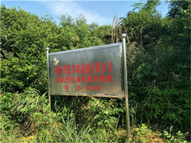 KKPAY钱包,油茶莳植生产加工销售,植物油莳植生产加工销售